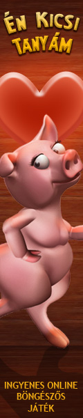 Kép