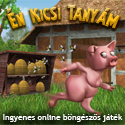 Kép