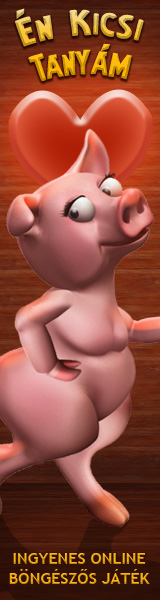 Kép