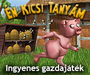 Kép