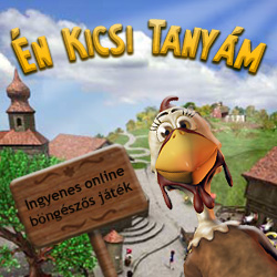 Kép