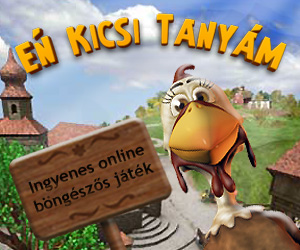 Kép
