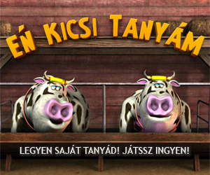 Kép