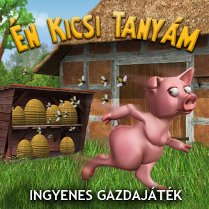 Kép