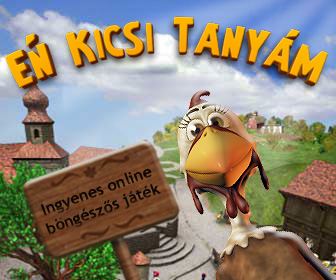 Kép