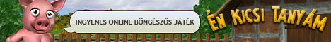 Kép