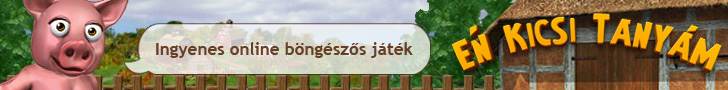 Kép