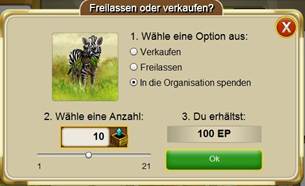 Kép
